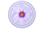 Mobil - Andet Tilbehør - PopSockets PopGrip Plant Purple Cosmo - 806846