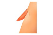 Arkivering & Opbevaring - Leitz Universalmappe  ColorClip RainbowA4 Orange - 41760045