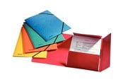 Arkivering & Opbevaring - Esselte Rainbow - 3-flap folder - for A4 - capacity: 350 sheets - assorted colours (pack of 5) - 15523