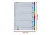 Arkivering & Opbevaring - Esselte - divider - 12 parts - for A4 - tabbed - 100194