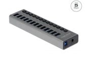USB hub - DeLOCK - hub - 13 ports USB hub - USB 3.0 - 13 ports - Grå - 63738