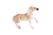 Figur - Mojo Horse World Brumby Mare - 381059
