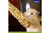 Gnavere - Vitakraft Hamster Kräcker with Honey and Spelt - 25152