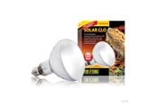 Varmelamper & -pærer - EXO TERRA Solar Glo Wide Beam 125W Sun Simulating Bulb - PT2192
