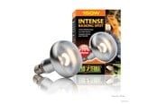 Varmelamper & -pærer - EXO TERRA Intense Basking Spot 150W - HPT2140