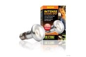 Varmelamper & -pærer - EXO TERRA Intense Basking Spot 50W - HPT2135