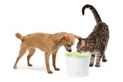 Katte - Catit Design Hvid/Lime Drikkefontæne 3 ltr. - H55600