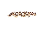 Figur - Kids Globe Cows Red/Fur 12pcs. 1:32 - 571968