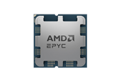 CPU - AMD EPYC 4124P - Tray CPU - 4 kerner - 3.8 GHz - AMD AM5 - Bulk (ingen køler) - 100-000001570