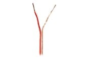 Audio kabel - Nedis bulk speaker cable - 15 m - CABR1500TR150