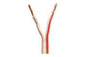 Audio kabel - Nedis bulk speaker cable - 100 m - CAGW4000TR1000