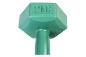 Sport & Fitness - ASG Håndvægt 2 kg vinyl - ASG4302IONE SIZE