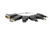 Skærmkabel - Nedis video / audio adapter kit - DisplayPort / HDMI / DVI / USB - CCGB34999BK