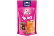 Katte - Vitakraft Cat Yums + Chicken and Cat Grass 40g - 31531