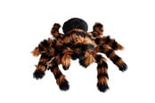 Gadget - Mikamax Giant Tarantula Plush 70 cm - 05153