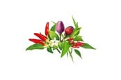 Smart Home - Click & Grow Click and Grow - Smart Garden Refill 9-pack Chili Pepper Mix - PPMCPX9