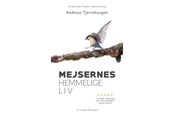 Natur & Videnskab - Mejsernes hemmelige liv - Natur & Videnskab - Hæftet - 9788794203227