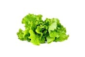 Smart Home - Click & Grow Click and Grow - Smart Garden Refill 3-pack - Green Lettuce (SGR32X3) - SGR32X3