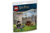 LEGO® - LEGO Harry Potter 30706 Quidditch™-lektion - 30706