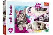 Puslespil - Trefl Puzzle - Lovely kittens (160 pieces) Floor - TFL15371