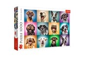 Puslespil - Trefl Puzzle - Funny dog portraits (1000 pieces) 2D Puslespil - TFL10462