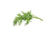 Smart Home - Click & Grow Click and Grow Smart Garden Refill 3-pack - Dill - SGR49X3