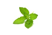 Smart Home - Click & Grow Click and Grow Smart Garden Refill 3-pack - Holy Basil - SGR66X3