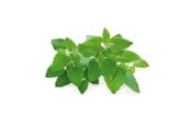 Smart Home - Click & Grow Click and Grow Smart Garden Refill 3-pack - Catnip - SGR29X3