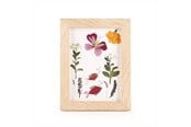 Boligindretning - Kikkerland - HUCKLEBERRY PRESSED FLOWER FRAME (HB02-F) - HB02-F