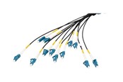 Netværkskabel - DIGITUS breakout cable - 30 m - black - Sort - 30m - DK-2A33CU030BK-BBB