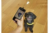 Mobil - Andet Tilbehør - Kikkerland - Dog Treat Selfie Clip (DIG01) - DIG01