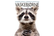Børnebøger - Vaskebjørne - Børnebog - Hardcover - 9788775661435