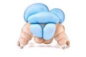 Merchandise - Numskull - Destiny: Screeb Hatchling - Bamse - NS4269
