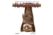 Børnebøger - Flagermus - Børnebog - Hardcover - 9788775661374