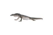 Figur - Mojo - Wildlife Perentie Lizard - 381061 - 381061
