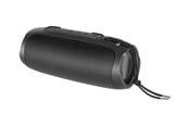 Bærbare & Fest Højtalere - STREETZ S350 - speaker - for portable use - wireless - S350-BLK
