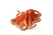 Figur - Mojo - Sealife Octopus - 387275