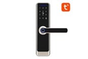 Smart Home - Avatto ZSDL-A270-S-ALI-6072 ZigBee smart digital lock (silver) - ZSDL-A270-S-ALI-6072
