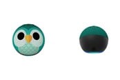 Trådløse højttalere med flere rum - Amazon Echo Dot (5th Generation) Kids - 0840268915742