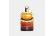 Parfume og dufte - Afnan Revival Portrait EDP 100ml - 6290171073932