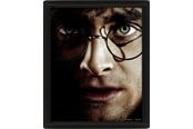 Merchandise - Pyramid - Wall Art - Harry Potter vs Voldemort 3D Framed 20x - Billede - EPPL71335