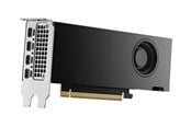 Grafikkort - Dell RTX 2000 Ada - 16GB GDDR6 RAM - Grafikkort - DELL-M7X81
