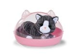 Dukker & Tilbehør - Baby Born Min Kat Cookie med Boks - 837580