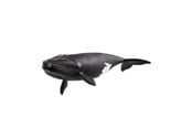 Schleich - Schleich Wild Life North Atlantic Right Whale - 14878