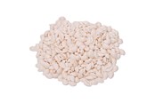 Kreativitet & Hobbyartikler - Colorations - Seashells Kauri 300g - 38WD26