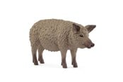 Schleich - Schleich Mangalica - 14892