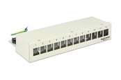 Netværkstilbehør - DeLOCK Keystone Desktop Patch Panel - 12 Ports - 43335