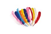 Kostumer - Boland - Indian Feathers 12pcs. - 44135