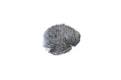 Mikrofon - Rycote Windjammer FWS 40/55 - RYC055378