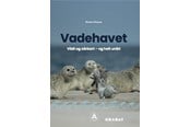 Børnebøger - Vadehavet - Børnebog - Hardback - 9788776380625